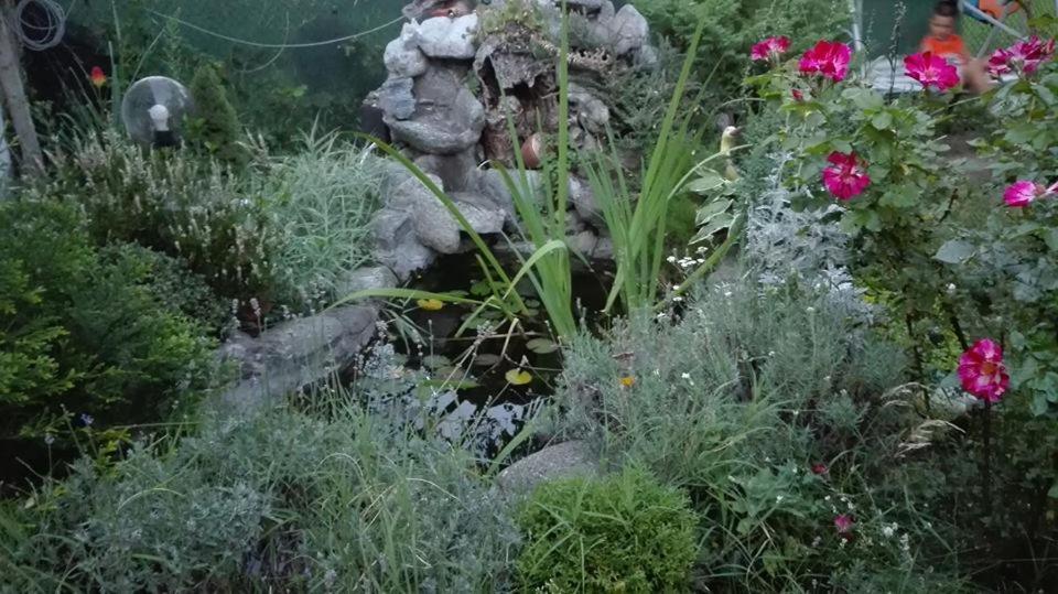 Veselata Guest House 道那班亚 外观 照片