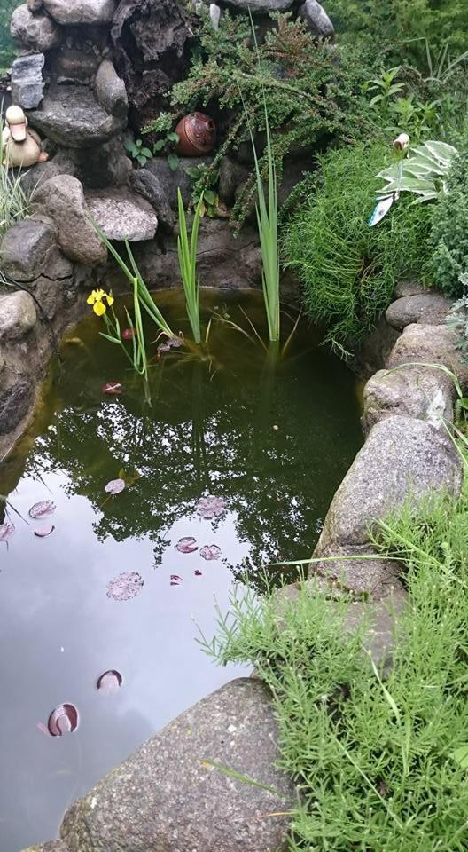 Veselata Guest House 道那班亚 外观 照片